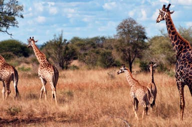 Way off the beaten track in South Africa