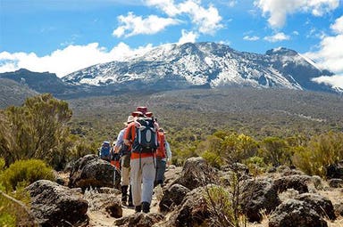 Breve trekking sul Kilimangiaro