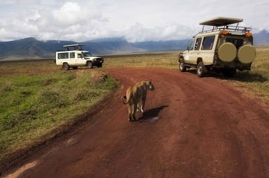Ngorongoro Crater tour
