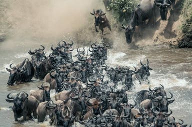 6 Days – Serengeti Migration Private/Group Safari