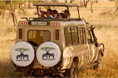 Tanzania National Parks Safari