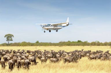 3 Day - Safari to Serengeti National Park from Zanzibar
