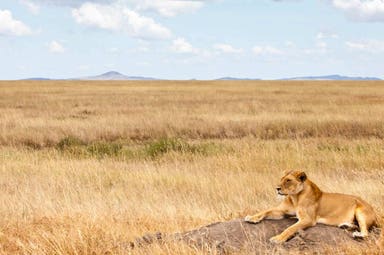 Parco nazionale del Serengeti
