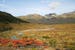 argentina-tierra-del-fuego-national-park-landscape