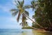 costa-rica-manuel-antonio-palms-beach