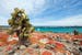 Ecuador Galapagos islands landscape