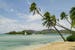 Fiji islands beach and palms