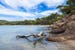 france-porquerolles-notre-dame-beach