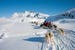 Sled dog in Greenland