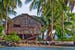 Solomon Islands bamboo hut