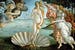 Venere di Botticelli