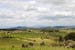 Italy Chianti