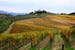 Italy Chianti