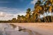 martinique-beach-of-saint-anne