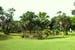 mauritius-botanical-garden