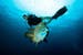 Micronesia sub
