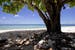 Micronesia isola di Yap