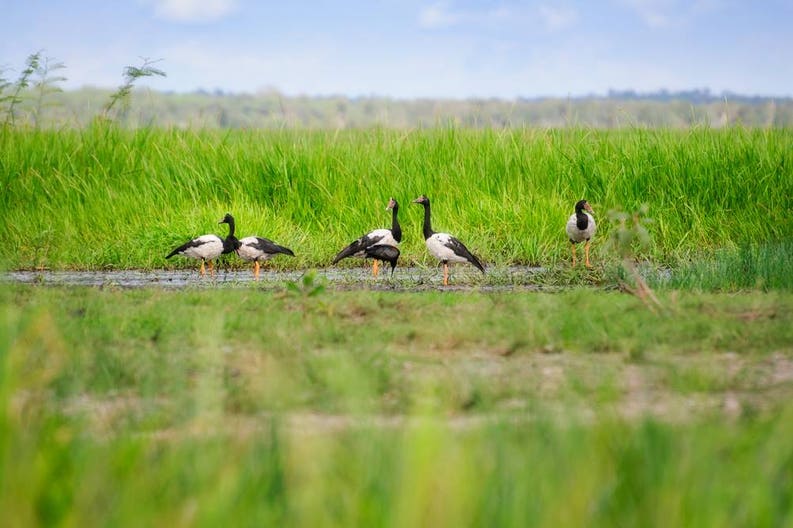australia-mary-river-region