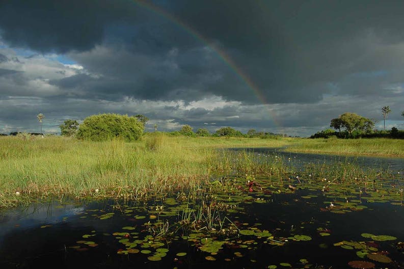 botswana-okavango-delta-storm