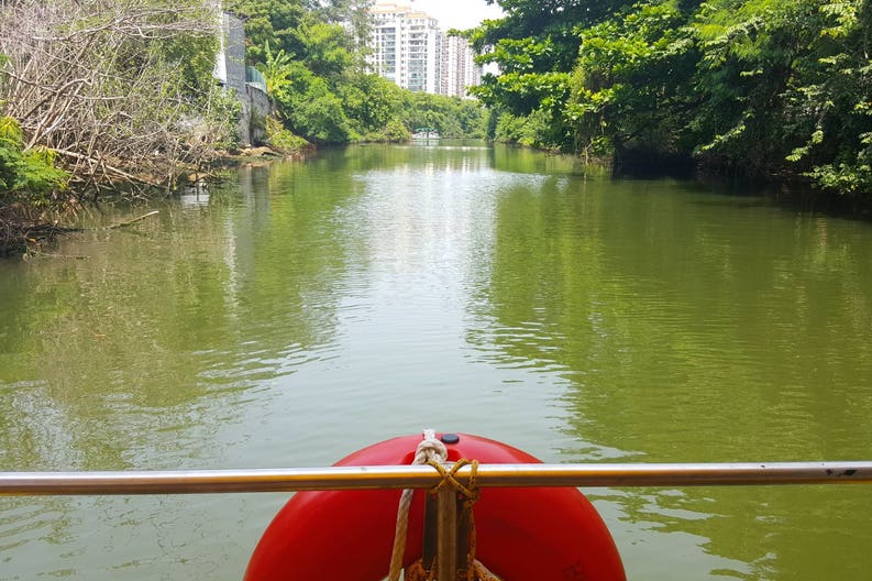 bws-pantanal-carioca-crisstilben-cris-pelo-mundo-cris-cris-10