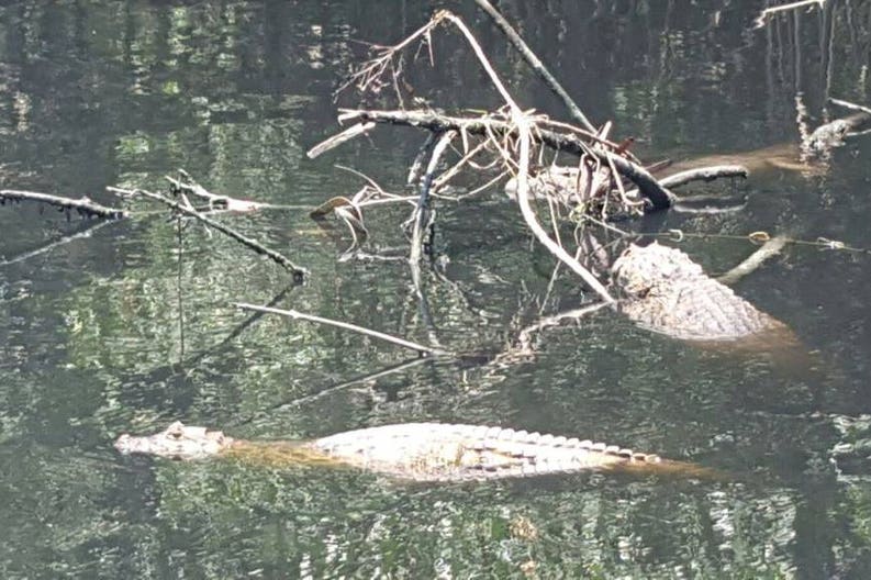 bws-pantanal-carioca-crisstilben-cris-pelo-mundo-cris-cris-4