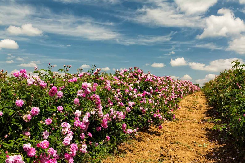bulgaria-kazanlak