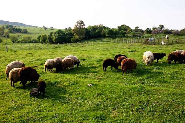 madzharovo-bulgaria-3