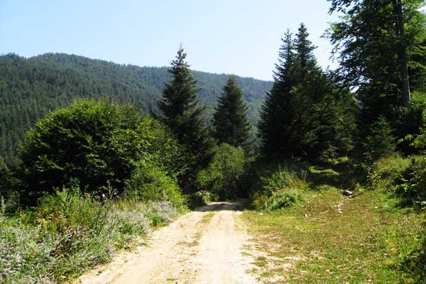 varhovrah-bulgaria-sentiero