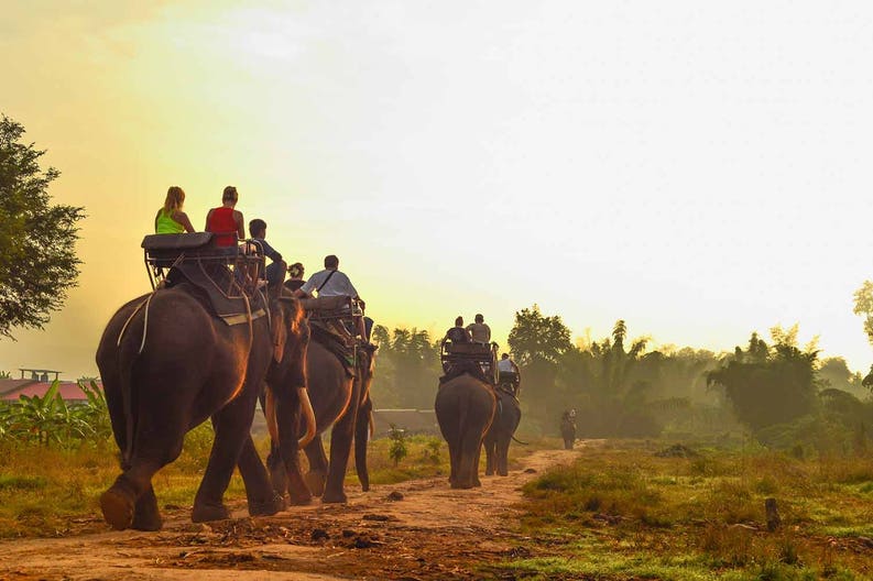 cambodia-elephant-ride