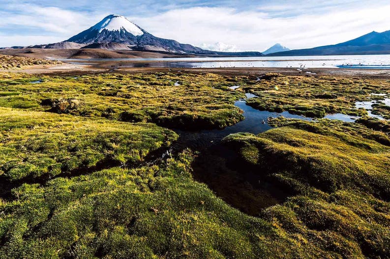chile-national-park-lauca