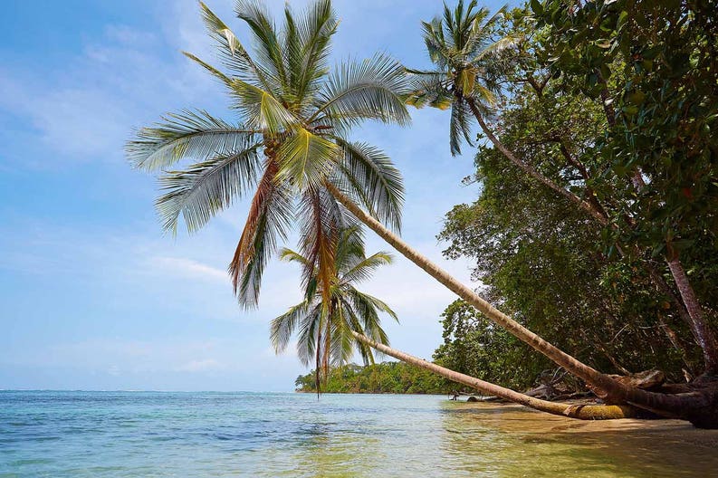 costa-rica-manuel-antonio-palms-beach