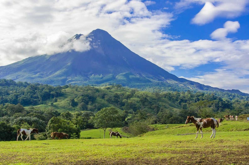 costa-rica-vulcano-arenal-horses