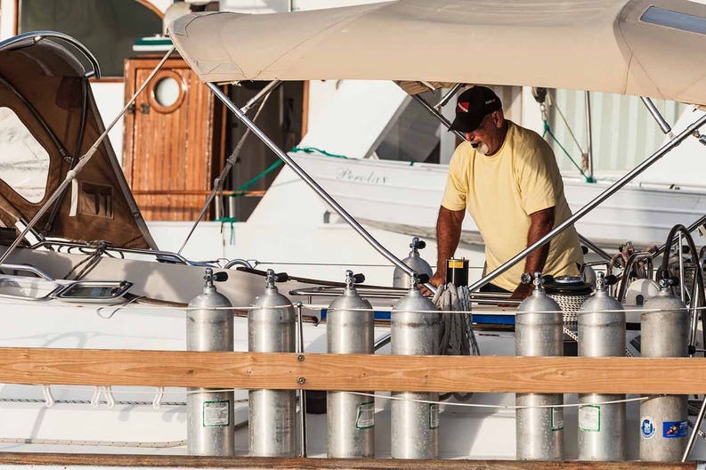 Vision III Vision III