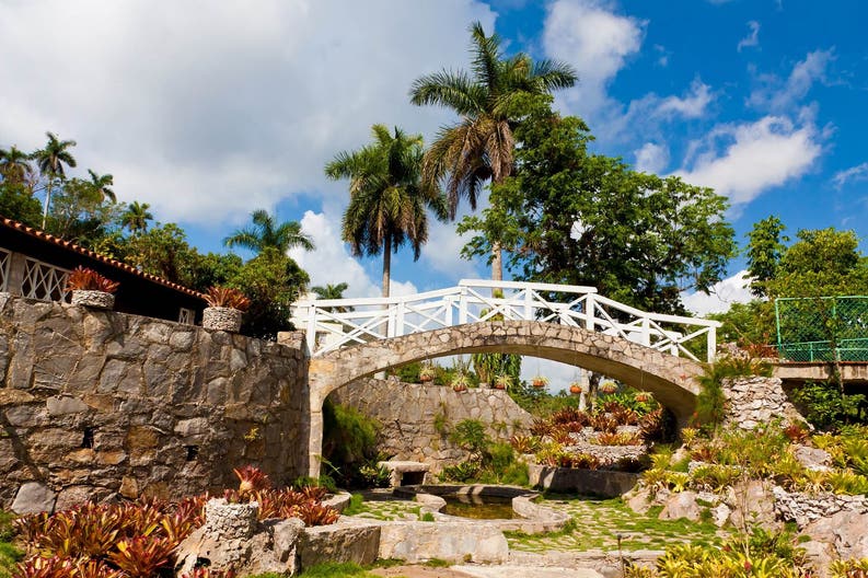 The-orchids-garden-Soroa-Cuba