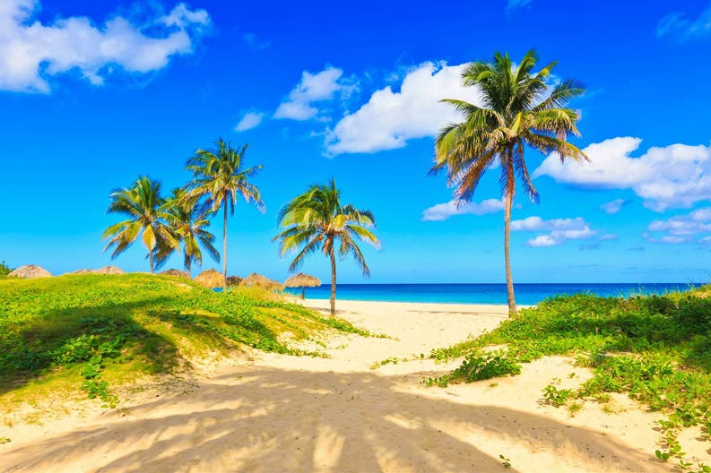 shutterstock-88278259