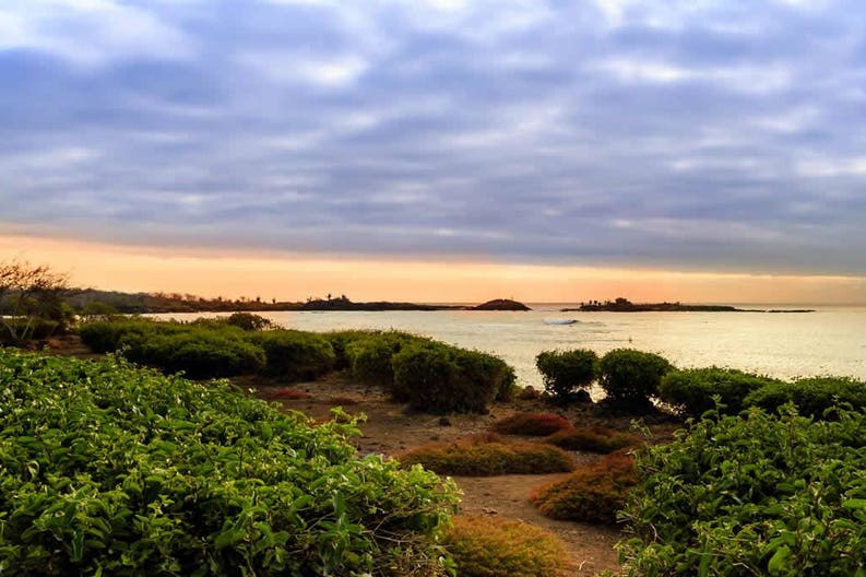 galapagos-coast-01