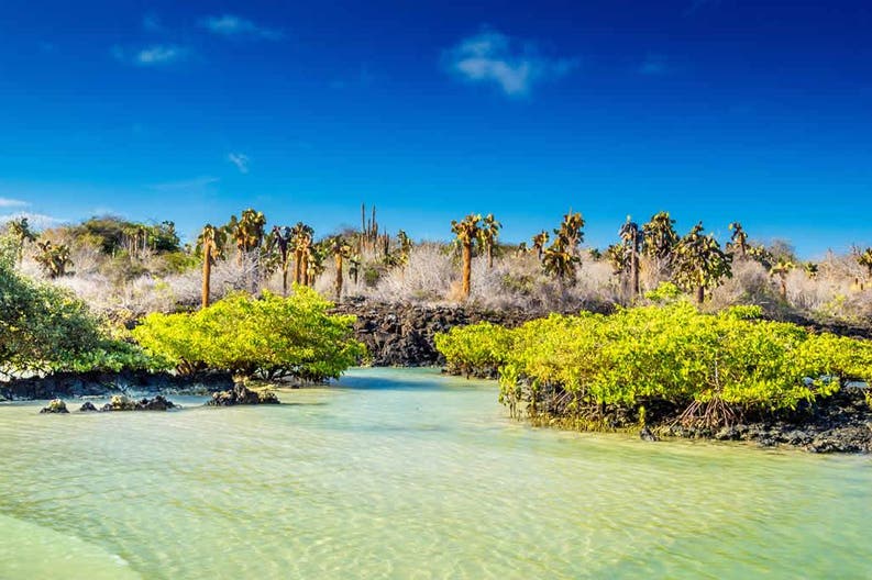 galapagos-view