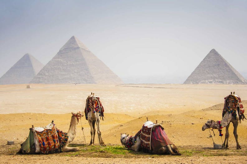 egypt-camels-with-pyramid