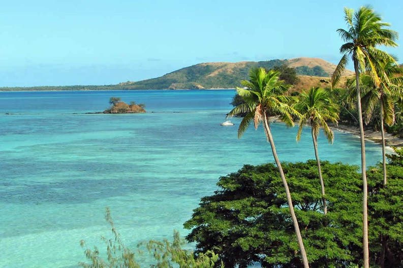 Fiji islands Nacula and Yasawa palms 