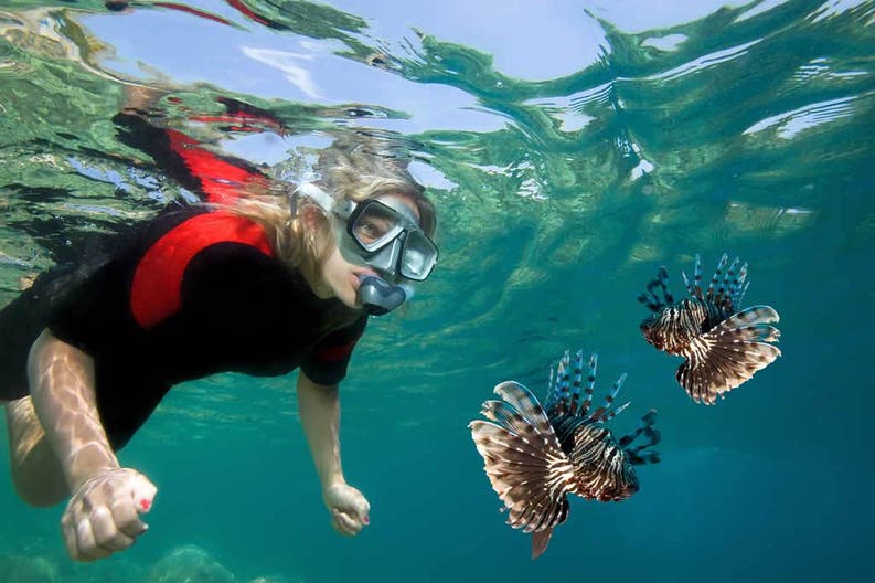 Fiji islands snorkelling