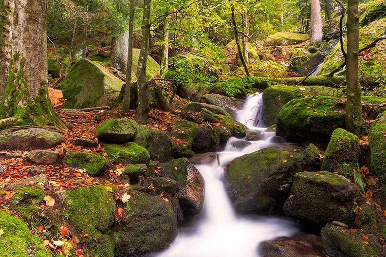 black-forest-gertelsbacher-waterfalls-in-autumn