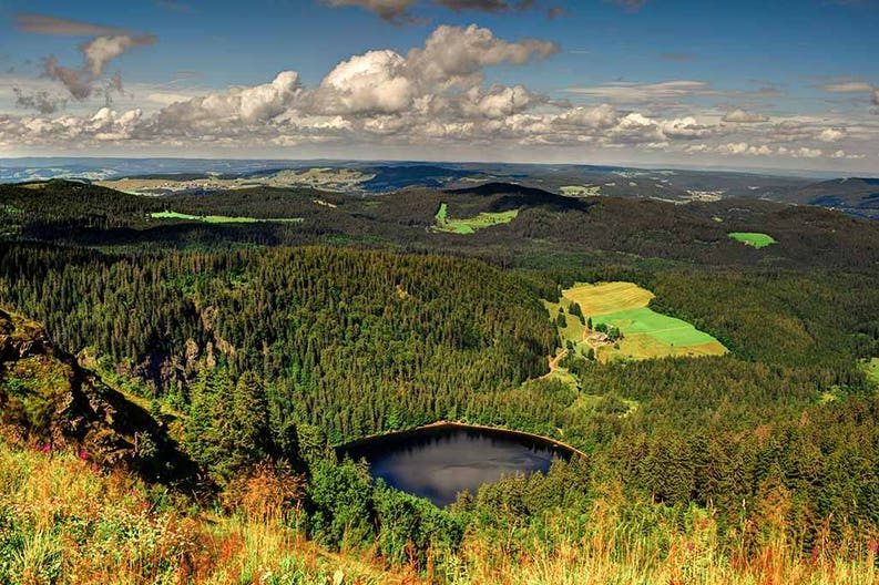 black-forest-landscape