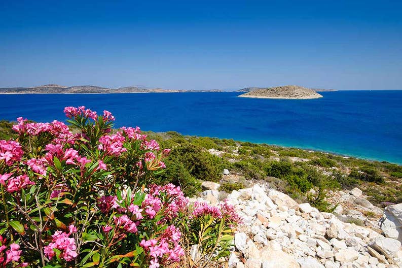 Landscape of Iraklia, at the Smalla Cyclades of Greece