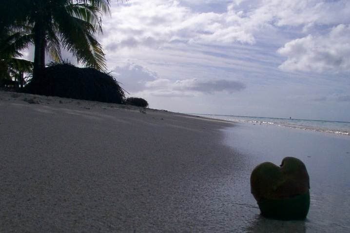 Guadeloupe beach sunset Sunset over the beach of Guadeloupe