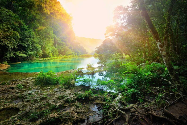 guatemala-national-park-semuc-champey-mountainous-jungle