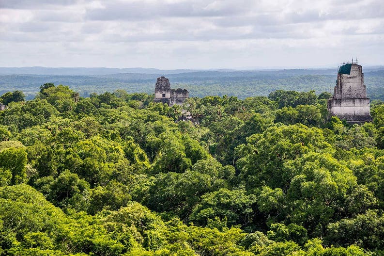 guatemala-tikal-national-park