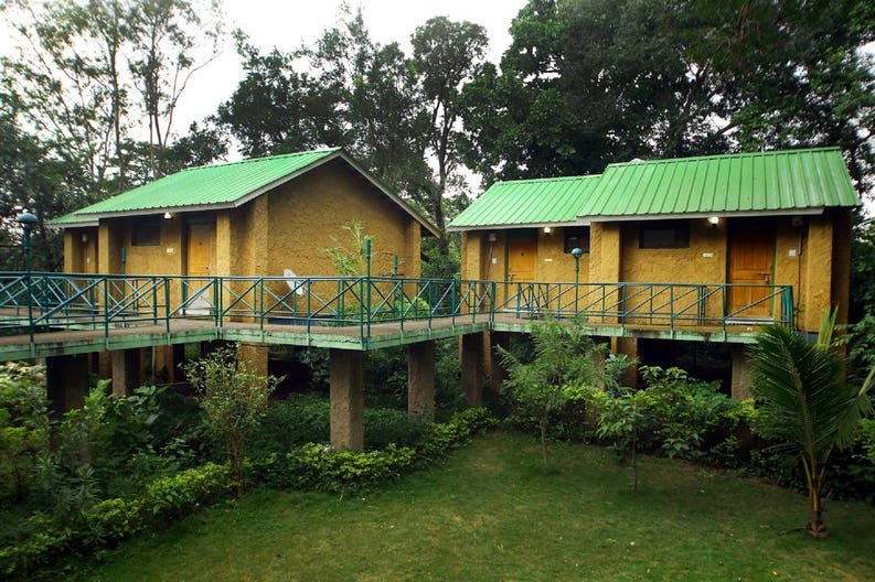 mpt-white-tiger-forest-lodge