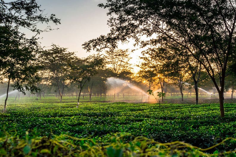 Dibrugarh città dell'India