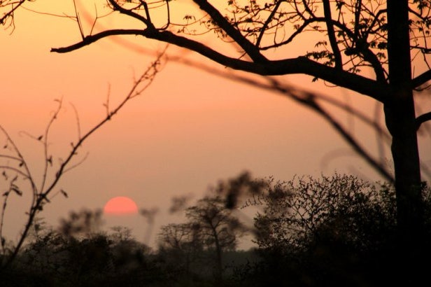 Sunset in Kaziranga in India