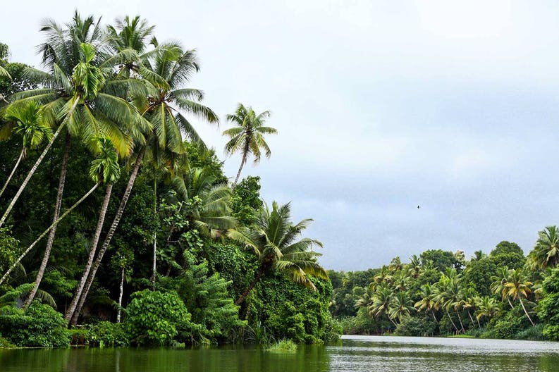 india-kerala-backwaters-near-kumarakorum